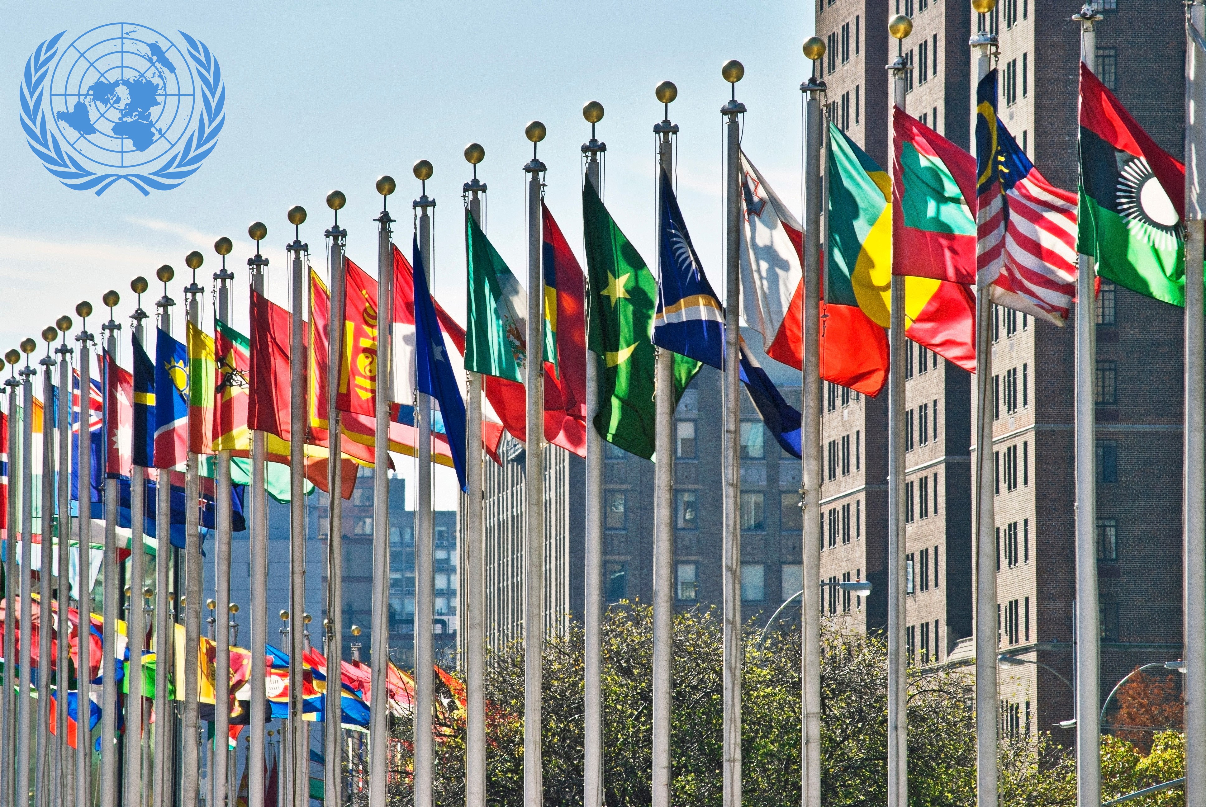 Россия в организации оон. Здание ООН (организации Объединённых наций) в Нью-Йорке. Флаги государств ООН. Здание ООН В Нью-Йорке флаги. ООН флаги стран РФ.
